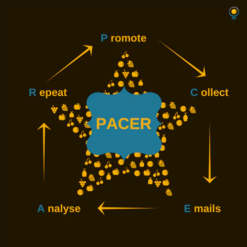 Defining What PACER Is